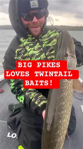 INSANE Pike Attack on Gunki Mama Bullfrog! 🐸🔥 Fishing in 22 m/s winds 😅