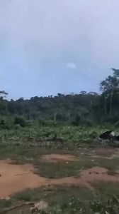 1.1M views · 5.3K reactions | Very nice airshow performance by the...