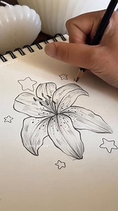 Lily flower drawing tutorial #draw #asmr #sketch #arttutorial #facedrawing | SketchyCore