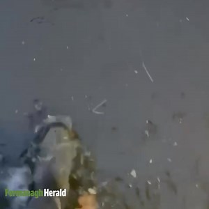 Some Fermanagh families have been left devastated after the excessive flooding damaged their homes and property. 📽️ One local woman, Emily Woods from Ballinamallard, has shared some footage with us. | Fermanagh Herald