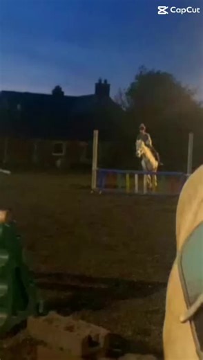 Pebbles going amazing last night. All ready for😮‍💨😮‍💨