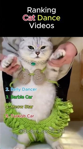 Ranking Cat Dance #shorts #foryoupageシ