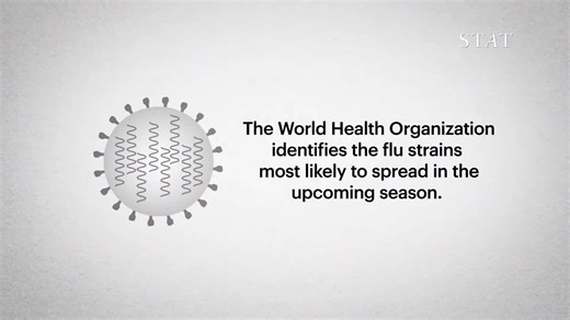How Does the flu Vaccine Work?