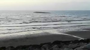 3.2K views · 94 reactions | A rare sight...  Watch the mesmerising footage of starlings swarming together inches from the water at Heysham. Captured by Alan Hampson  | Lancs Live | Facebook