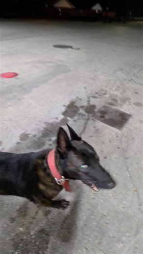 23 reactions · 3 comments | I just don't post a lot of our Mayhem as...