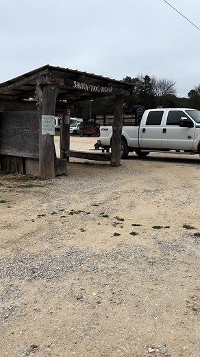 Exploring the Unique Rattlesnake Saloon in Tuscumbia Alabama