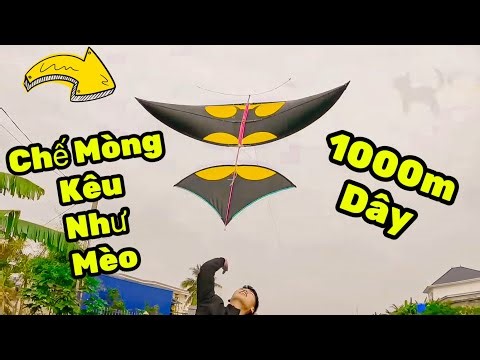 Chế Mòng Diều 2m Batman Kêu Tiếng Mèo Cực Khét Và Diều Cú Xanh 2m Chiến Gió To