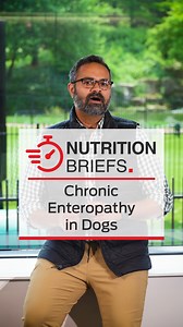 Nutrition Briefs: Chronic Enteropathy in Dogs 🐶 Persistent GI signs like diarrhea, vomiting, and weight loss may point to chronic enteropathy - a condition affecting many canine patients. Raj Naik, DVM, DACVIM (Nutrition), explains how nutritional therapy can be a powerful first step in managing this condition, especially in food-responsive cases. Watch the short video and explore more resources at CentreSquare® ⬇️ http://spr.ly/6180A7H5o | Purina Institute