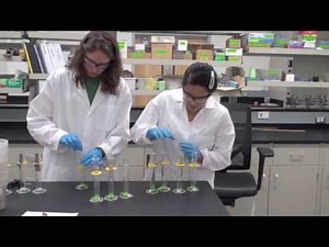 Anaerobic Biodegradation Experiment
