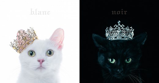 Aimer　BEST SELECTION “blanc” | BEST SELECTION “noir”