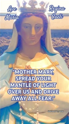 “MOTHER MARY, SPREAD YOUR MANTLE OF LIGHT OVER US AND DRIVE AWAY ALL FEAR.”#virginmary #shortsfeed