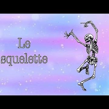 Le squelette(Charpente du corps humain)
