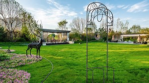 Watch Install Giraffe Garden Hose Holder on Amazon Live