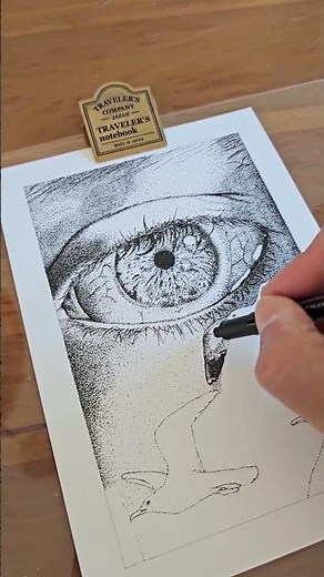 Fineliner Stippling A Seagull #stippling #fineliner #inkdrawing #pointillism #finelinerart
