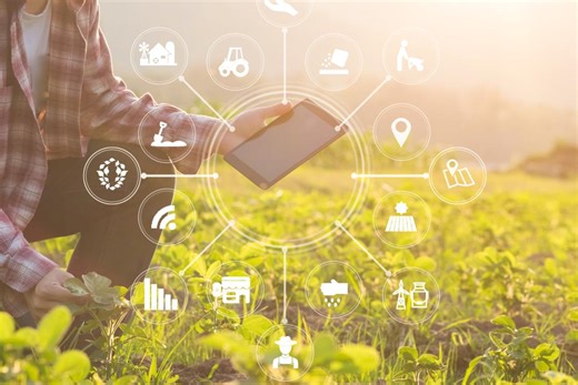 BeeODiversity’s AI platform to monitor wild bee activity