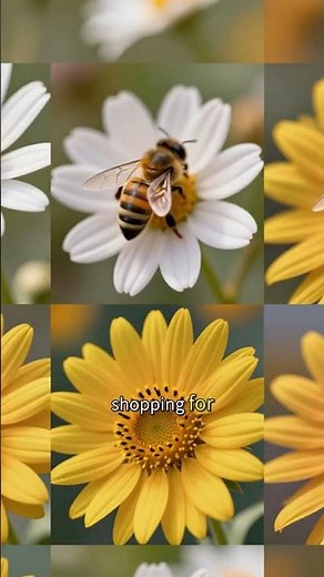 Bees Sleep Inside Flowers - The Cutest Nature Fact Ever