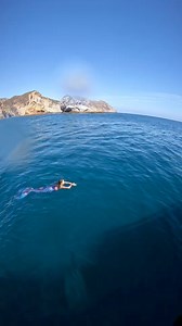 Chasing a mermaid into the water 🙊🩵 Tail by Finfolk Productions #mermaid #mermaids #mermaidcore #sirencore #fantasycore #fantasy #fantasycreature #realmermaid | Mermaid Venilia of New York