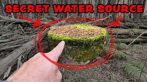 Farmer’s Secret Discovery: A Hidden Freshwater Spring on Site