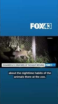 Creatures of the Night event returns to ZooAmerica