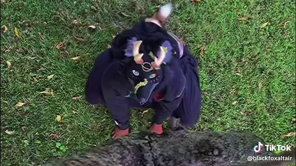 Reflecting on a Transformative Year: My Journey