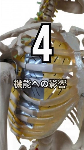 【保存版】呼吸が変われば動作が変わる！肋間筋アプローチで胸郭を整えるリハ戦略 #リハビリ #理学療法 #理学療法士 #shorts