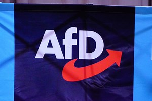 AfD-Beben! Merz rast in Umfrage weiter in den Keller