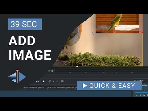 Kdenlive Tutorial: How to Add Image in Kdenlive