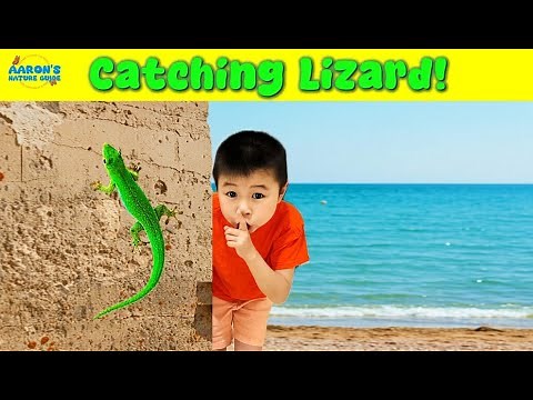KIDS! 🦎Catching Wild LIZARDS! | EDUCATIONAL Kids Nature Show🌿
