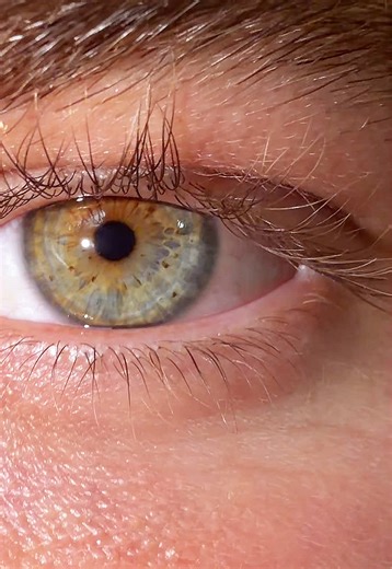 ¿Azules o verdes? La canción de los ojos de Luna del Lobo