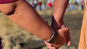 The Decade of the Native Hawaiian