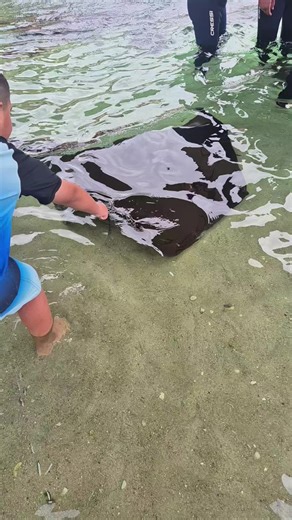 Exploring the Beauty of Allah's Ocean Creations