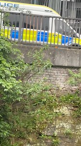 They won’t catch us unless they’ve brought waders mate !! ** disclaimer ** All acts performed in these videos may or may not be real, for entertainment purposes only. Don't forget to drop the page a follow you lovely lot ~ No Limits ~ A World of Decay | No Limits