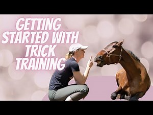 Teach your horse 3 easy tricks! (Clicker training)