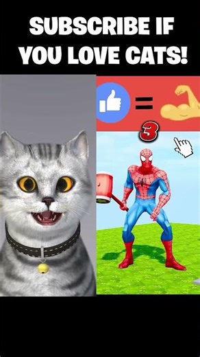 Hilarious Cat Reactions Compilation