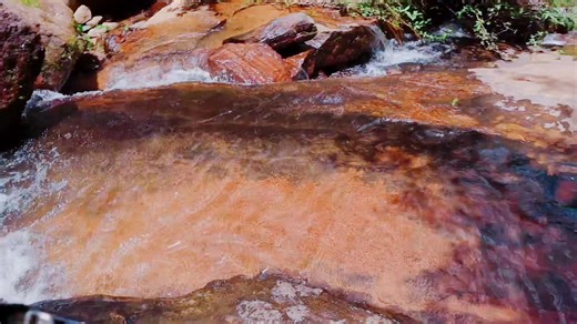 #nature #fyp #love #foryoupage❤️❤️ #tik_tok @Tamil Songs and Dialogues @Song Lyrics @Music🎶 @TikTok UK @TRAVEL @Explore @Tamil Lyrics @tamil lyrics videos @Travel @Srilanka Authentic Experience @SriLanka TikTok