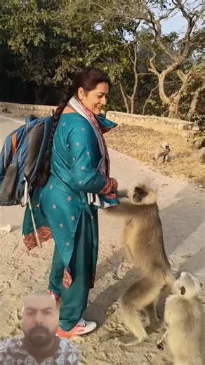 OMG 🐒 monkeys #funny #monkey #animals #monkeysr #funnymonkey #animallife #funnyanimal #langurmonkey