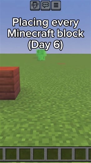 Placing every Minecraft block (day 6)
