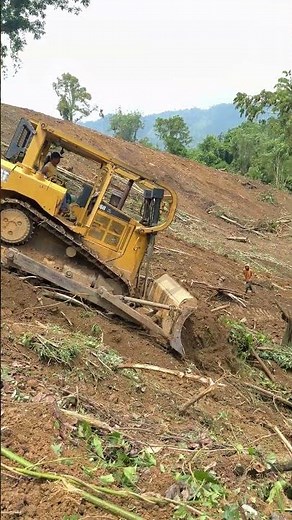 D6R XL Bulldozer Techniques for Eco-Friendly Clearing