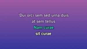 Customize the song lyrics How We Do (Party) made famous by Rita Ora