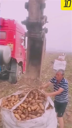 Advanced automatic tools lift crops easily and quickly