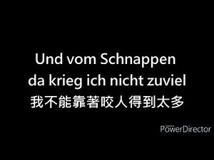 Schnappi Das Kleine Krokodil/中德字幕/中德翻譯歌詞/lyrics/學德文歌/Deutsche übersetzt ins Chinesische【牧甫德語學習檔案】