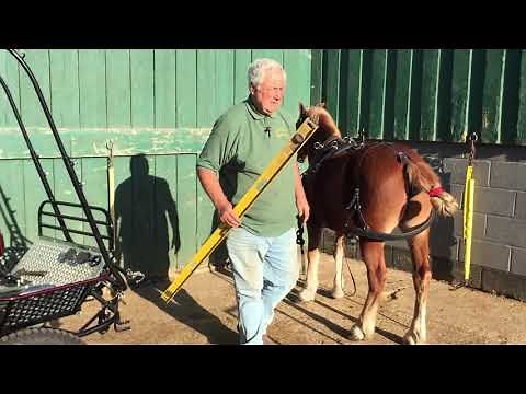 How to Harness; Part 3 - Setting Up the Cart