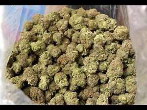 A look at the different types of cannabis you can buy in Oregon