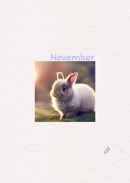 Creative Female Bunny Names for Your Pet