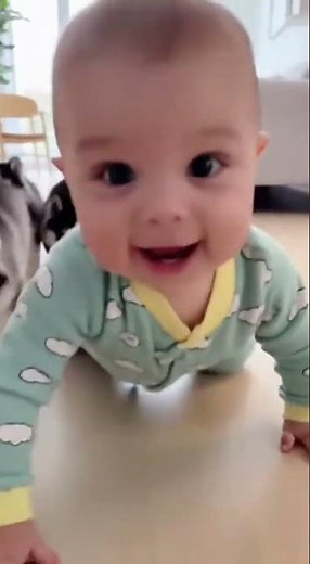 Course-poursuite : Bébé et Chiots