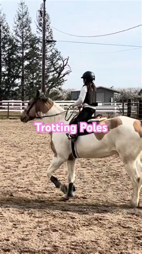 English Riding Lessons at trotting Poles 9 year old #horse #equestrian #kidsandhorses