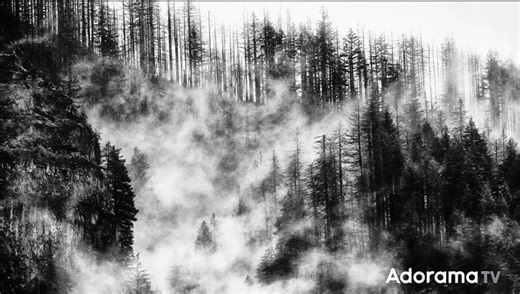 Black and White Photography: Tips and Techniques | Fstoppers