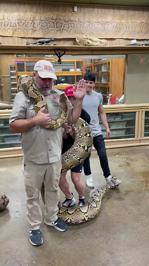 45M views · 247K reactions | Grumpy 20Ft Python Bites Jay!  | Jayprehistoricpets | Facebook