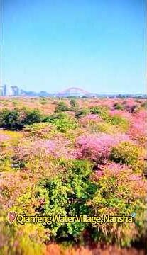 [China Travelogue] Nansha’s Winter Colours