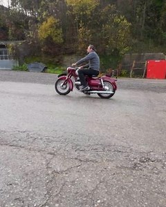 👏This bike is waiting to be your new Friend 👏 - Puch 250 SGS 1955 250cc 🇦🇹 | Classic Motorcycle